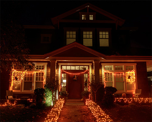 Use Outdoor-Rated Lights and Cords